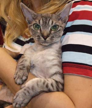 Hannah auf der Messe